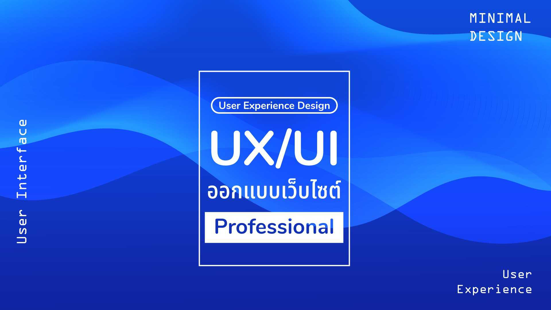 UX/UI Design Professional(ข้อสอบแบบผสม)